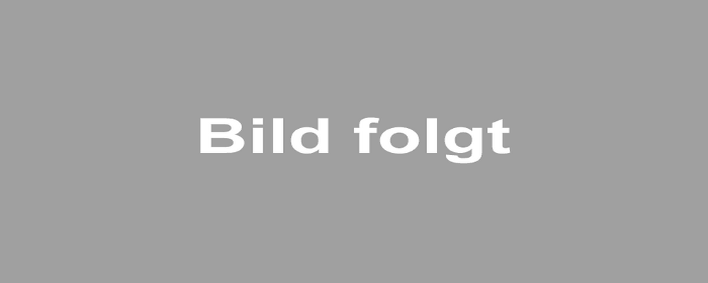 Bild zur Veranstaltung.